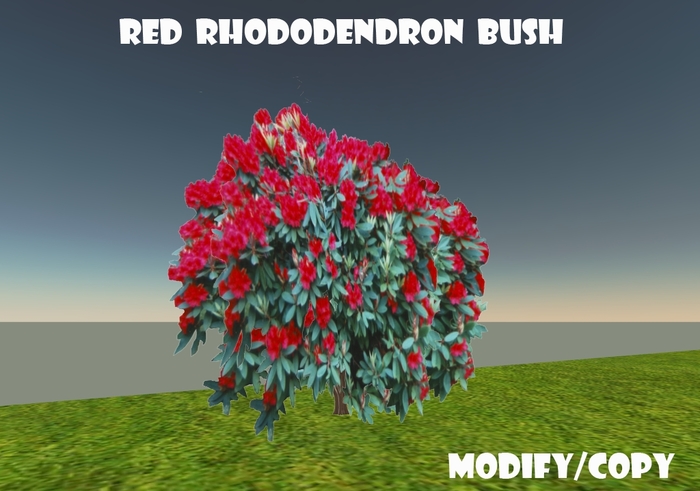 Red Rhododendron Bush (Flexi)