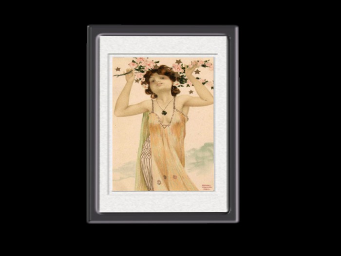 Kirchner: Roses in Variety Frame 002