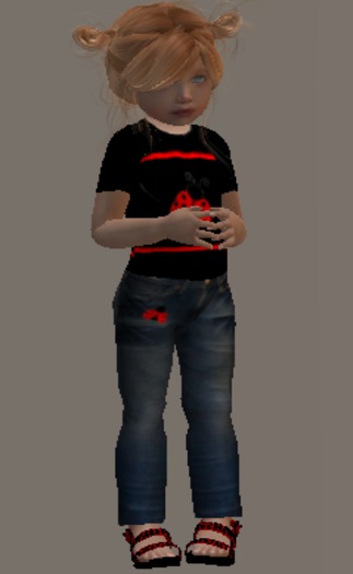  ladybug 