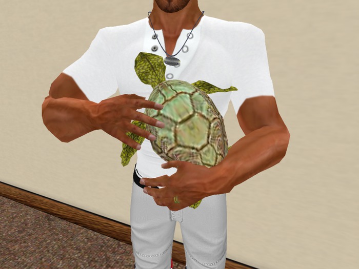 Tush, petting a Sea Turtle