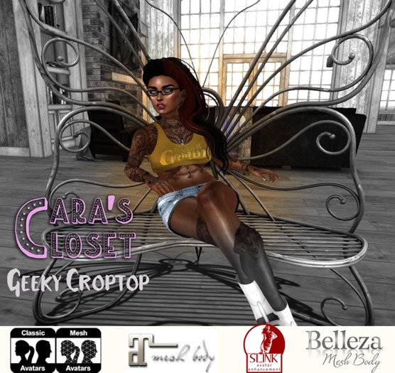 *Cara's* Geeky Croptop - Fatpack