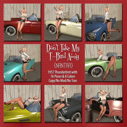 {NANTRA} Don't Take My T-Bird Away