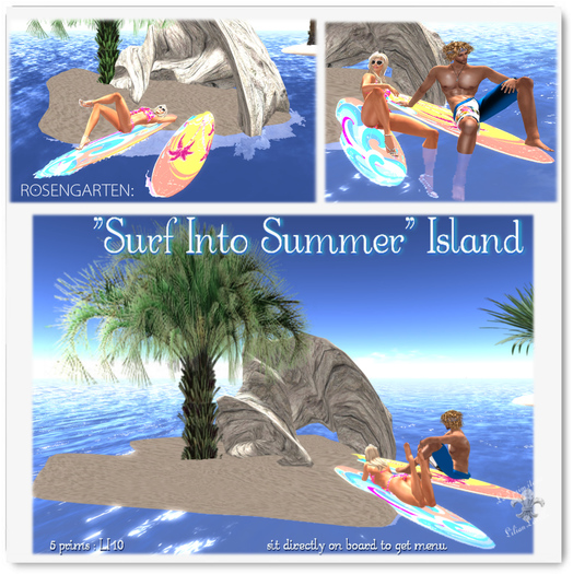 SURF INTO SUMMER  ISLAND :Grotto&Surfboards 2Single Menus