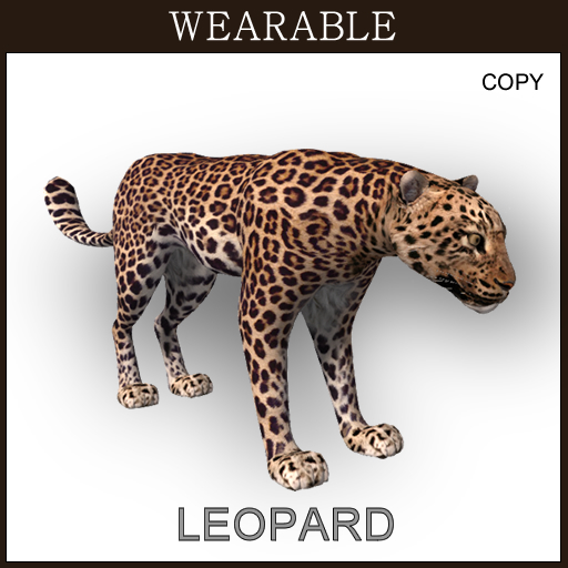 Leopard_Wear_Box