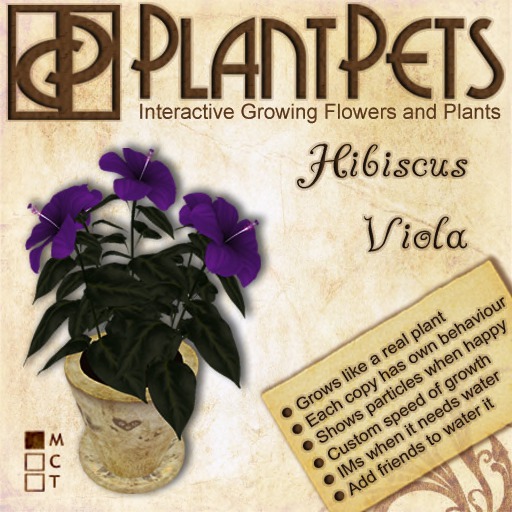 PlantPet Seed [Bonsai *Purple Leaf*]