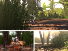 ~FF~ Large Forest Habitat (Low Prim)