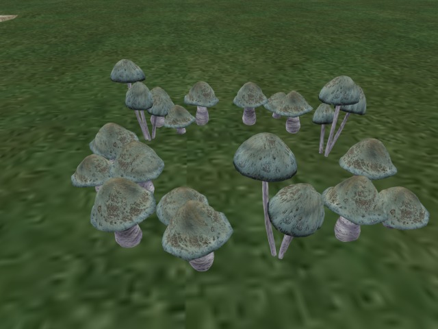 {Papillon} [Boxed] Fairy Ring (C)