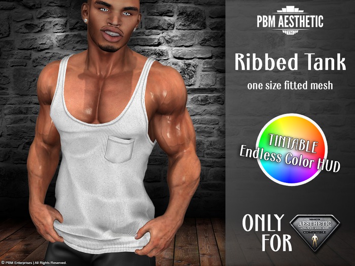 PBM Aesthetic [Ribbed Tank Top] Tintable with color HUD - Niramyth Aesthetics only