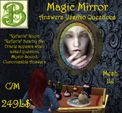 Magic Mirror, Answers Yes/No Questions, 1LI Mesh