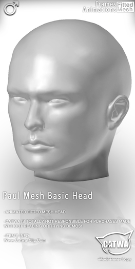 CATWA HEAD Paul [DEMO]