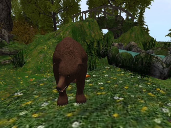 oYo Bundle - Female Brown Bear