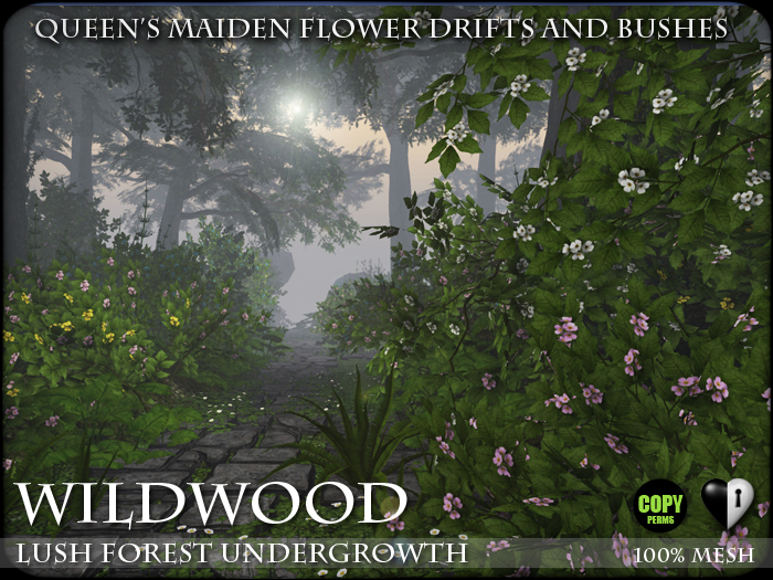 Bushes - Queen's Maiden Flowering Drifts and Bushes