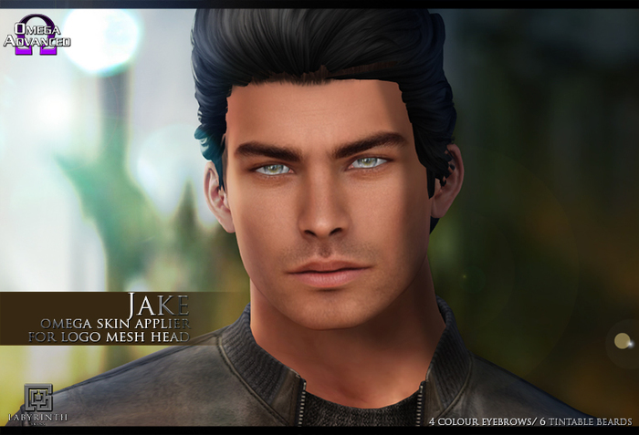 -Labyrinth- Omega Head Applier - Jake Skin (Logo) - Demos
