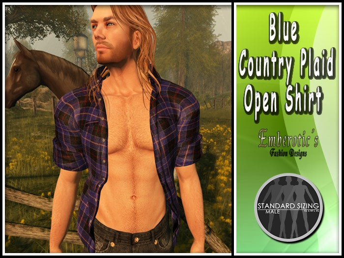 EFDM_27 Blue Country Plaid