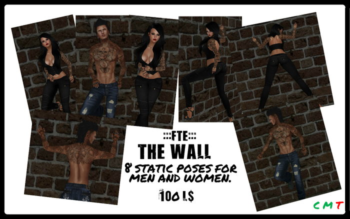 :::fte:::   The Wall