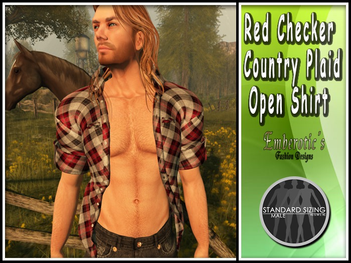 EFDM_27 Red Checker Country Plaid
