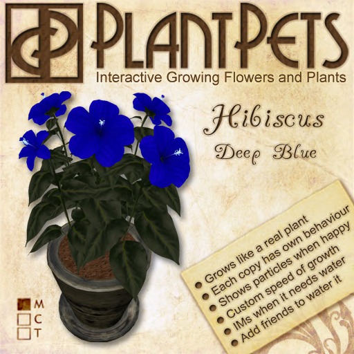 PlantPet Seed [Agapanthus *Red*]