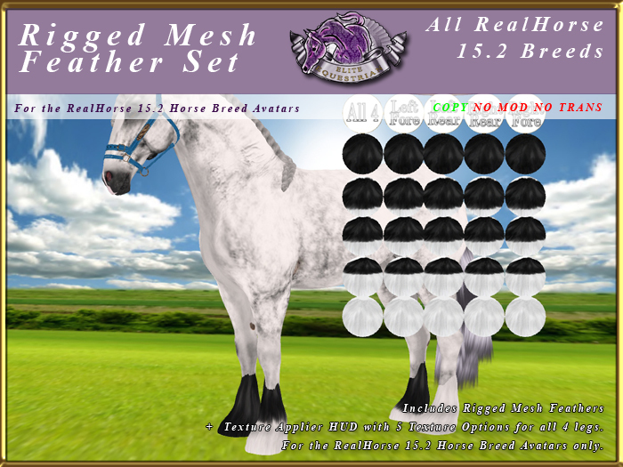 *E* Fluffy Rigged Feather Set [BOXED] RH 15.2