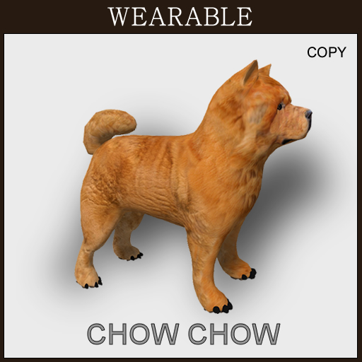 Chowchow_Wear_Box