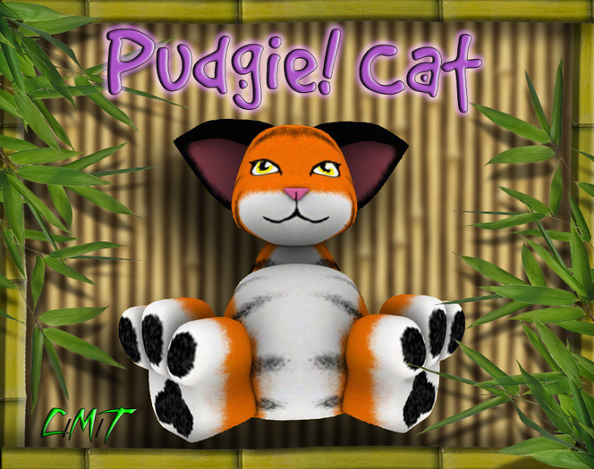 Pudgies! Kitty