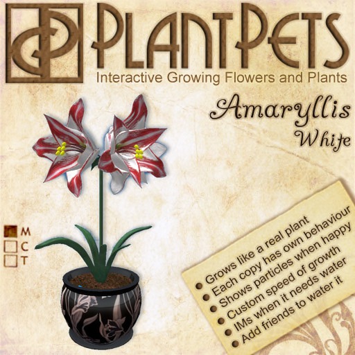 PlantPet Seed [Agapanthus *Red*]