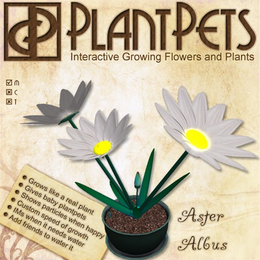 PlantPet Seed [Agapanthus *Red*]