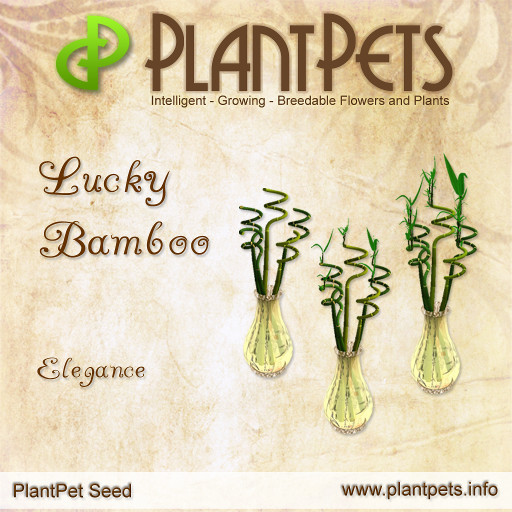 PlantPet Seed [Agapanthus *Red*]