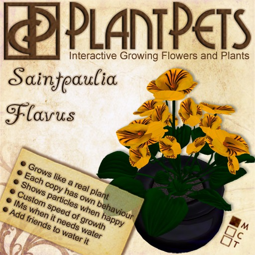 PlantPet Seed [Agapanthus *Red*]