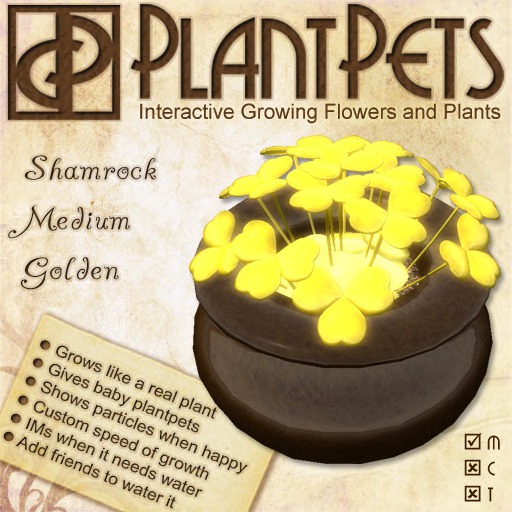 PlantPet Seed [Bonsai *Purple Leaf*]