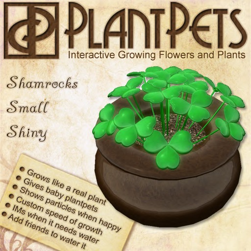 PlantPet Seed [Bonsai *Purple Leaf*]