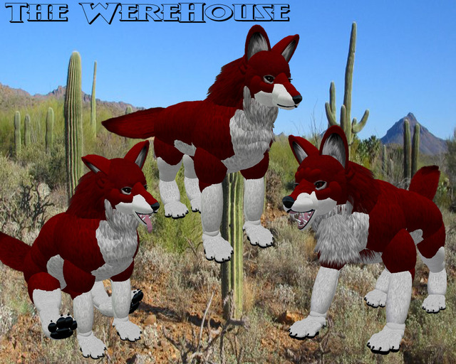 WereHouse Critters Version 3 Crimson Coyote Avatar