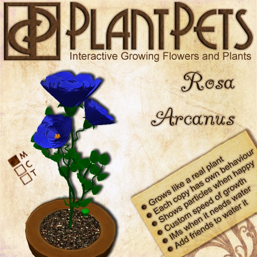PlantPet Seed [Agapanthus *Red*]