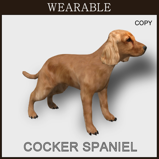 CockerSpaniel_Wear_Box