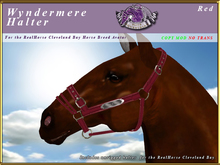*E* Wyndermere Halter [BOXED] RH Cleveland Bay Red