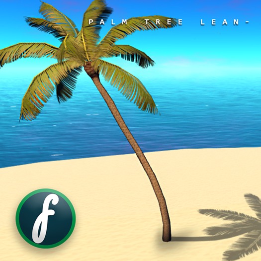 Friller Palm Tree Lean