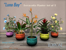 [CIRCA] - "Luna Bay" - Terracotta Planter Set of 5