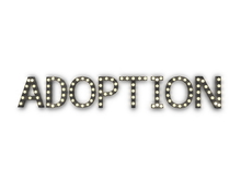 [Px] "ADOPTION" Illuminated Light Bulbs Sign