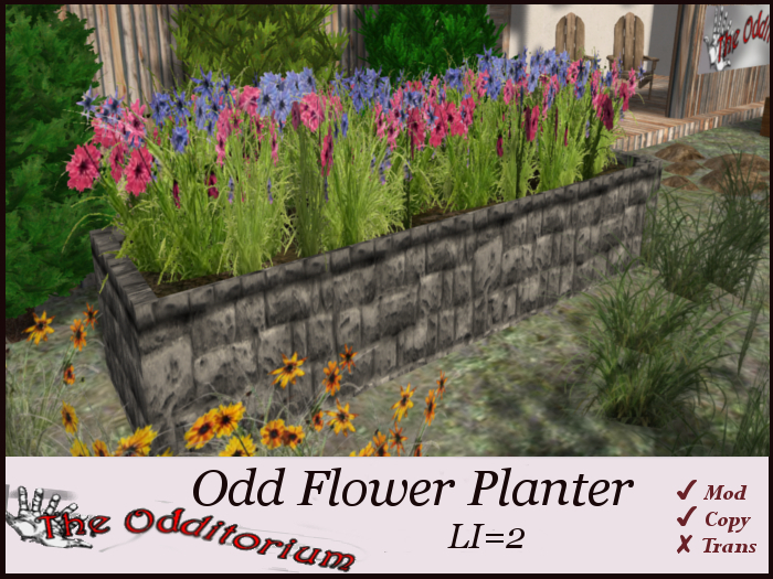 oDD fLOWER pLANTER