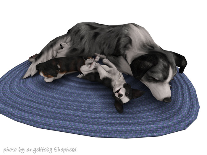 JIAN Countryside Collies :: Family Rug EP BOX