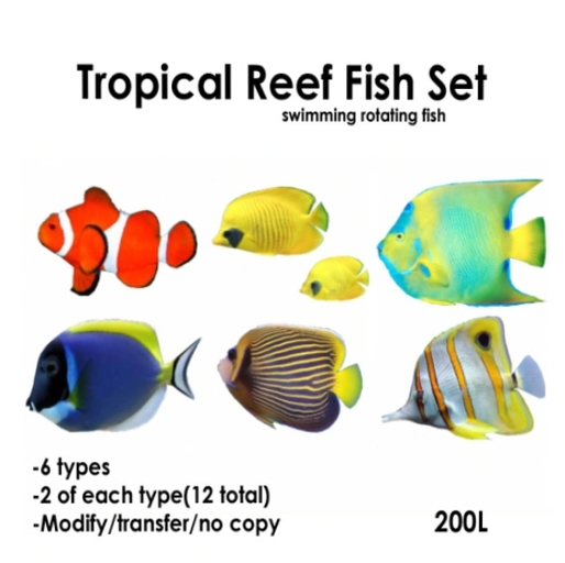 @Hiro@ Tropical Reef fish Set BOX