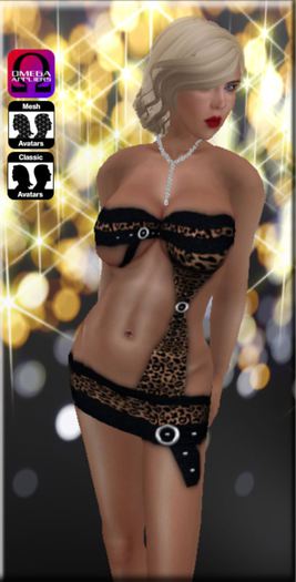 Chelsea leopard dress with omega appliers