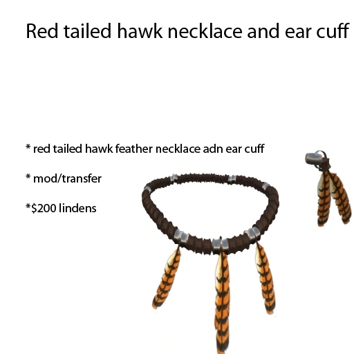 Red tailed hawk jewelry set