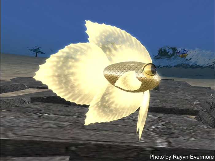 (7S) SuperUltraRare Fish: Gold Betta