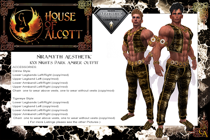HOA 1001 Nights Dark Amber Outfit for Aesthetic