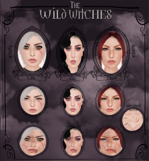 Le Forme Wild Witches Triss Face Damaged CATWA BOX