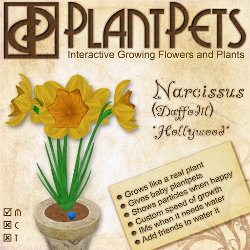 PlantPet Seed [Agapanthus *Red*]