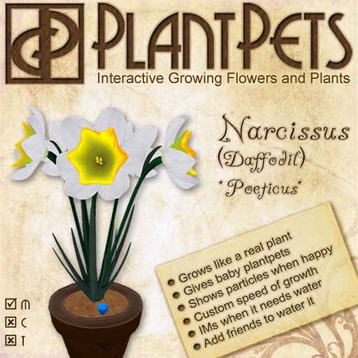 PlantPet Seed [Agapanthus *Red*]