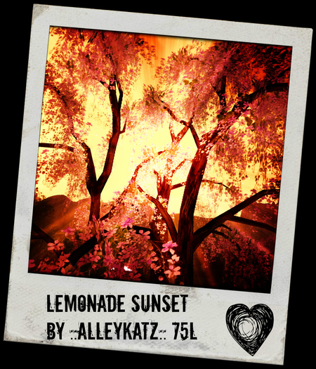 Lemonade Sunset ::AlleyKatz:: - BOXED