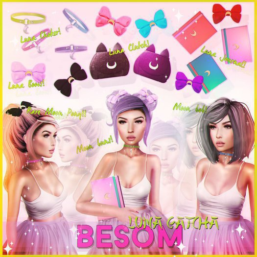 *Besom~ Luna Journal *Pink*