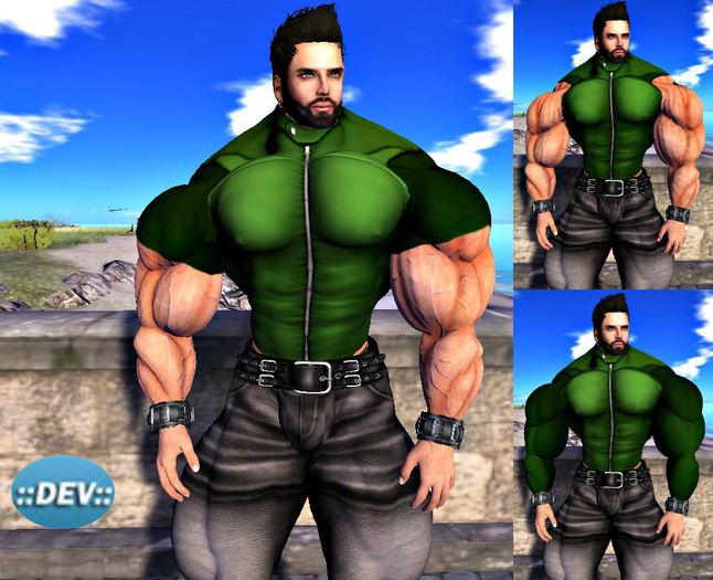 [D.Cavalieri] - Green Zip Shirts